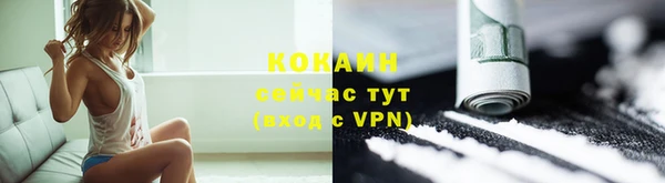 сатива Пересвет