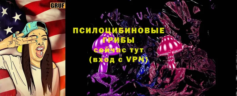 Псилоцибиновые грибы Magic Shrooms  Сорочинск 