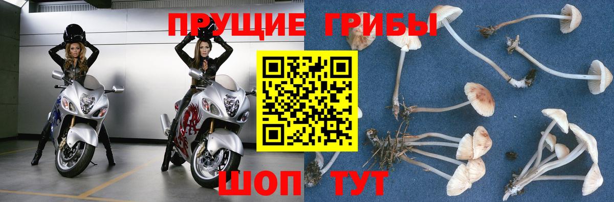 Псилоцибиновые грибы ЛСД Сорочинск